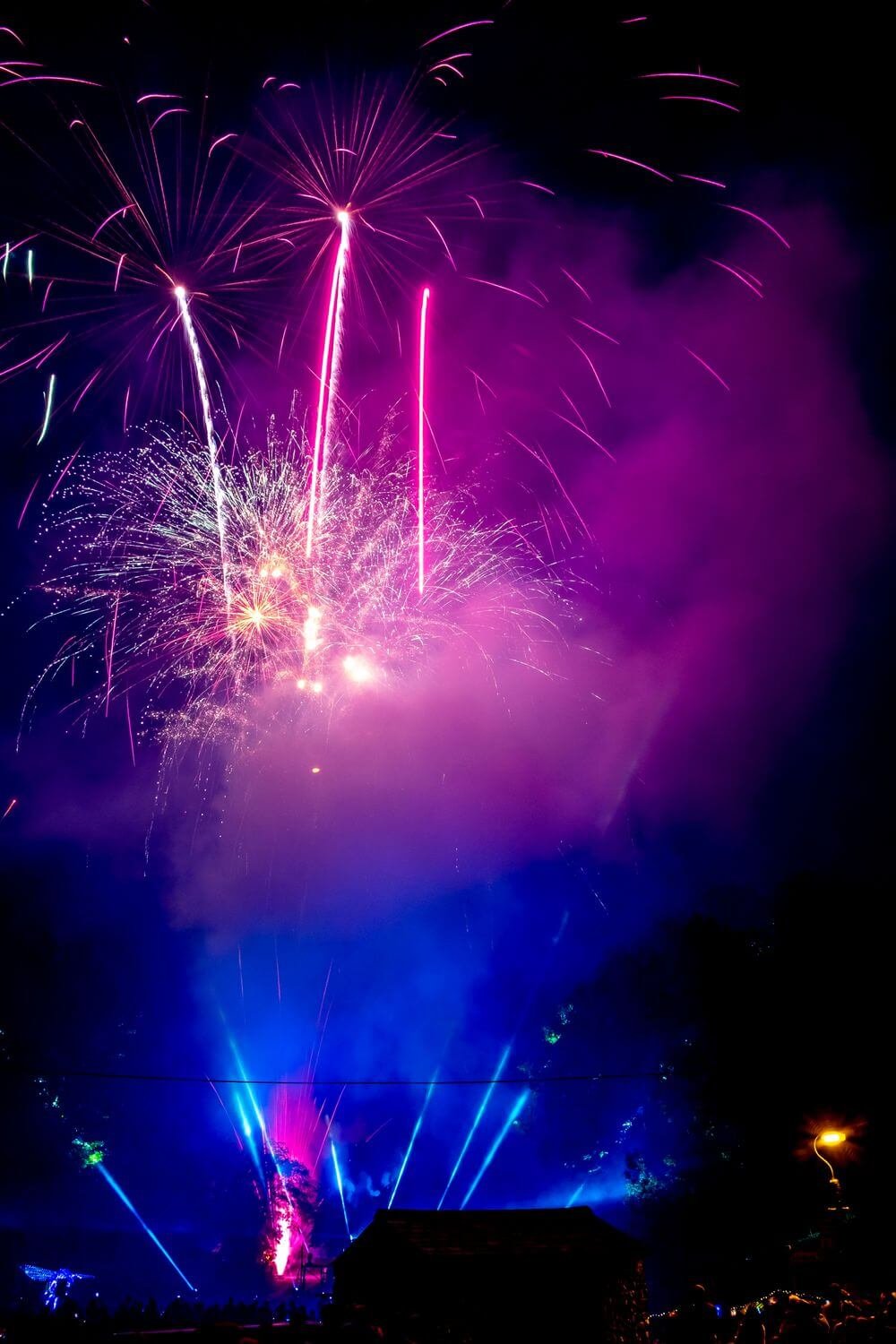 Bouquets roses et violets d'un feu d'artifice de nuit